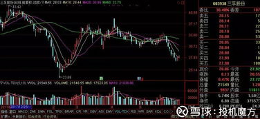 安井食品資產(chǎn)管理公司的秘密 高效資產(chǎn)運作背后的戰(zhàn)略與智慧