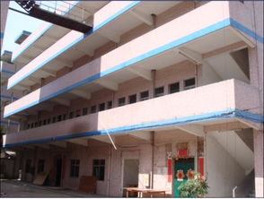 東莞市馬安嶺2號(hào)好運(yùn)廠資產(chǎn)管理探析——基于農(nóng)村社區(qū)集體資產(chǎn)管理的視角